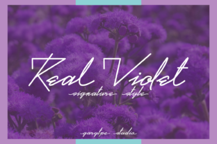 Real Violet: A Premium Script Font for Campaigns
