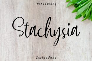 Stachysia: A Handwritten Typeface for Editorial Design